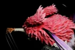 【In Stock】JIMEI Palace One-Piece Donquixote Doflamingo Resin Statue（Copyright） - Image 9