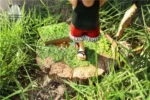 【Pre order】Emoji Studio One Piece Lying Luffy Resin Statue Deposit - Image 3