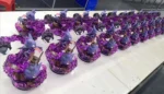 【In Stock】EGG-Studio Pokemon Gastly Haunter Gengar Family ゴース Resin Statue - Image 2