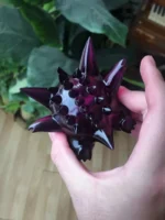 【Pre order】 37lab Studio Pokemon Gastly Haunter Gengar Family ゴース Resin Statue Deposit - Image 4