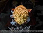 【Pre order】Jiao Dian Studio POP One Piece Shiki - Image 8