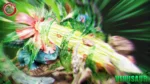 【In Stock】Fantasy Studio Venusaur Evolutionary Group with LED - Image 2