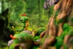 【Pre order】Fairy Studio Caterpie Family - Image 8