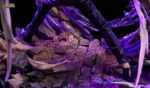 【Pre order】QiYuan Studio Jujutsu Kaisen Satoru Gojo With LED - Image 2