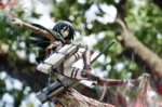 【In Stock】KOTOBUKIYA ARTFX J Attack on Titan Mikasa Ackerman - Image 5