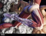 【In Stock】CHIKARA STUDIO Attack on Titan The Female titan VS Kyojin Resin Statue - Image 10