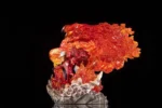 【Pre order】TK Studio One Piece Sakazuki Resin statue - Image 2