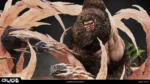 【Pre order】Bug Studio - Attack on Titan Kemono No Kyojin - Image 4