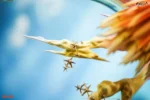 【Pre order】Cybera Studio - Pokemon Ho-Oh - Image 5