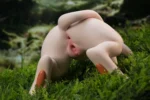 【In Stock】Ling Mo Studio - Pokemon Mew - Image 5