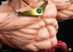 【Pre order】2% Studio 1/4 Super Broly - Image 7