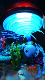 【Pre order】BallBall Studio - Pokemon Squirtle - Image 3