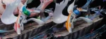 【Pre order】Raven Studio - Pokemon Gallade & Gardevoir with LED - Image 7