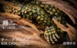 【Pre order】Shun Studio 1/6 One Piece Sir Crocodile - Image 7