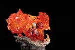 【Pre order】TK Studio One Piece Sakazuki Resin statue - Image 3