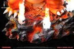 【Pre order】Odin Studio - Pokemon Charizard - Image 8