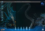 【Pre order】Hot Toys Studio 1/6 Aliens Alien Queen Collectible Figure MMS903 (Licensed) - Image 7