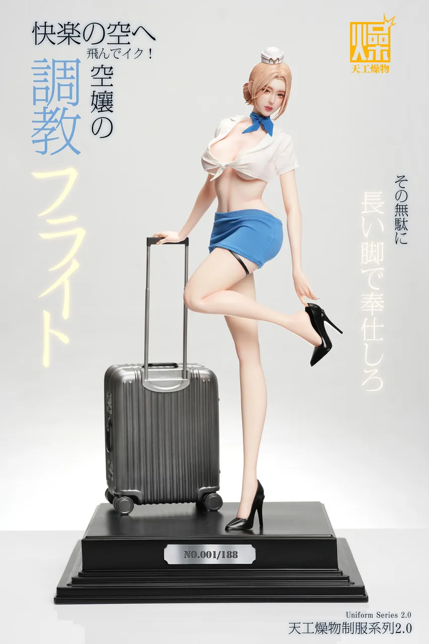 4f63d48ac4dd0b11 【Pre order】TGZW Studio Uniform Series 2.0 Flight Attendant flight training - Image 1