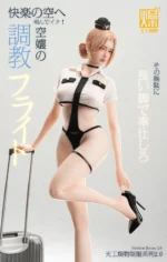 【Pre order】TGZW Studio Uniform Series 2.0 Flight Attendant flight training - Image 5