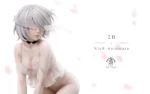 【Pre order】Ad alyn Studio 1/6&1/4 Muse NieR 2B - Image 4