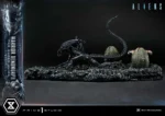 【Pre order】Prime 1 Studio - Ultimate Diorama Masterline Aliens (Film) Warrior Xenomorph for Queen Alien UDMAL-02 - Image 4