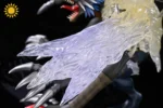 【Pre order】Sun Toys Studio - Digimon Millenniumon - Image 4