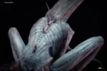 Deep tale Studio – White Alien - Image 3