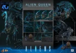 【Pre order】Hot Toys Studio 1/6 Aliens Alien Queen Collectible Figure MMS903 (Licensed) - Image 9