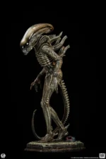 【Pre order】PCS Studio Alien Big Chap Xenomorph Statue PCSALIENBC12/PCSALIENBC12DX (Licensed )