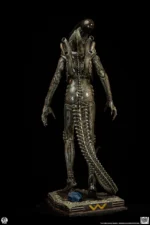 【Pre order】PCS Studio Alien Big Chap Xenomorph Statue PCSALIENBC12/PCSALIENBC12DX (Licensed ) - Image 5