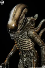 【Pre order】PCS Studio Alien Big Chap Xenomorph Statue PCSALIENBC12/PCSALIENBC12DX (Licensed ) - Image 4