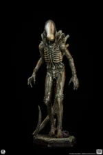 【Pre order】PCS Studio Alien Big Chap Xenomorph Statue PCSALIENBC12/PCSALIENBC12DX (Licensed ) - Image 2