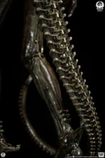 【Pre order】PCS Studio Alien Big Chap Xenomorph Statue PCSALIENBC12/PCSALIENBC12DX (Licensed ) - Image 8