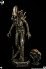【Pre order】PCS Studio Alien Big Chap Xenomorph Statue PCSALIENBC12/PCSALIENBC12DX (Licensed ) - Image 3