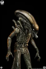 【Pre order】PCS Studio Alien Big Chap Xenomorph Statue PCSALIENBC12/PCSALIENBC12DX (Licensed ) - Image 6